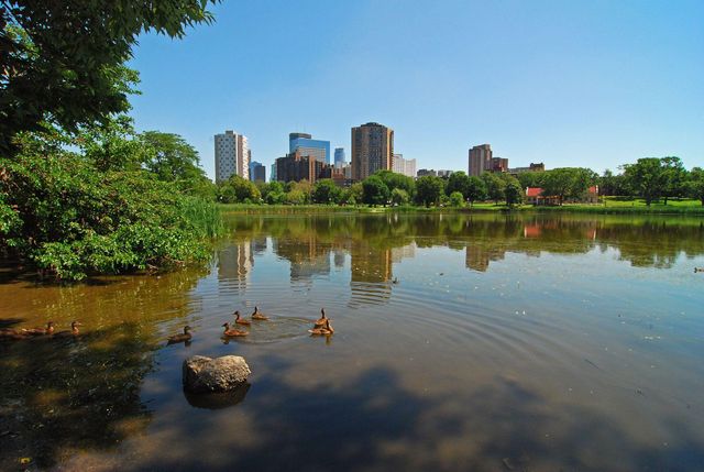 400 Groveland Avenue 914, Minneapolis, MN 55403