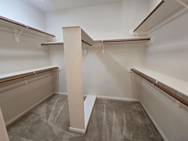 23006 Ammick Court, Spring, TX 77389