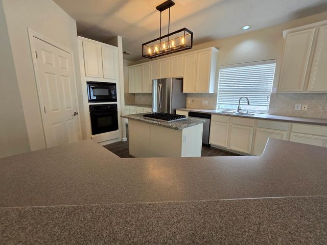 23006 Ammick Court, Spring, TX 77389