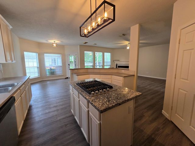 23006 Ammick Court, Spring, TX 77389