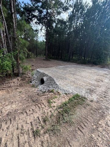 TBD County Road 3015 - Tract C3, Dayton, TX 77535