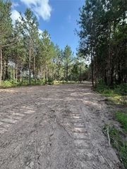 TBD County Road 3015 - Tract C3, Dayton, TX 77535