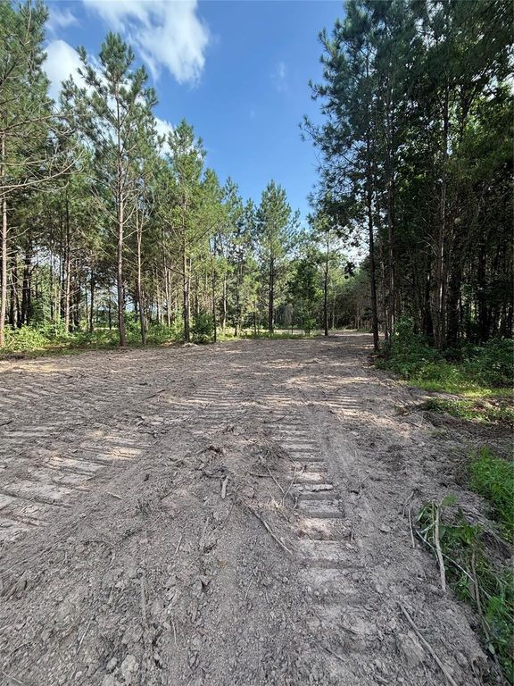 TBD County Road 3015 - Tract C3, Dayton, TX 77535