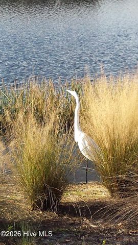 116 Boundary Loop Road NW, Calabash, NC 28467