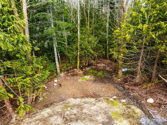 813 41st, Bellingham, WA 98229