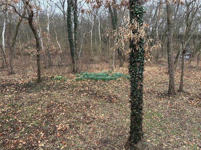 15150 E Quaker Road, Nevada, MO 64772