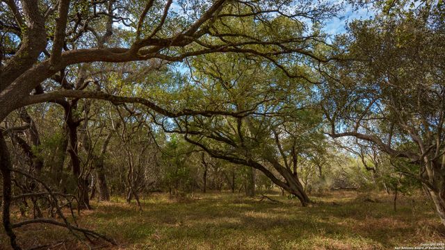28084 Delafield, New Braunfels, TX 78132