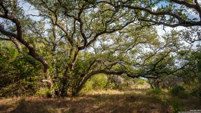 28084 Delafield, New Braunfels, TX 78132