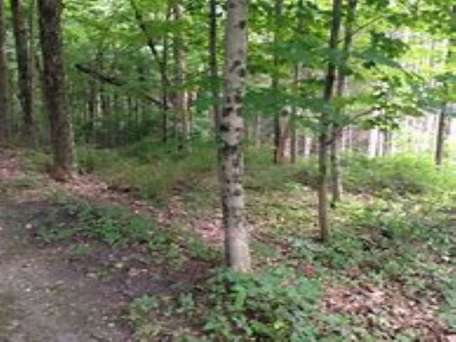 200 Heritage Park Place, Garfield Twp, MI 49685