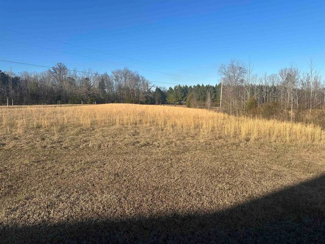 2245 FRITTON SPUR RD, Middleton, TN 38052