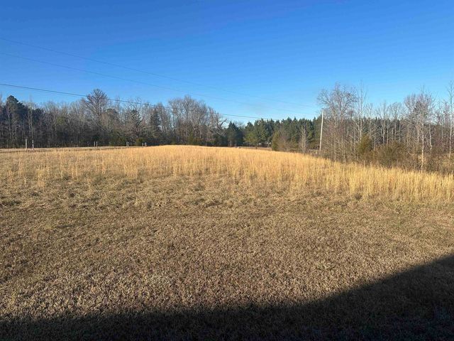 2245 FRITTON SPUR RD, Middleton, TN 38052