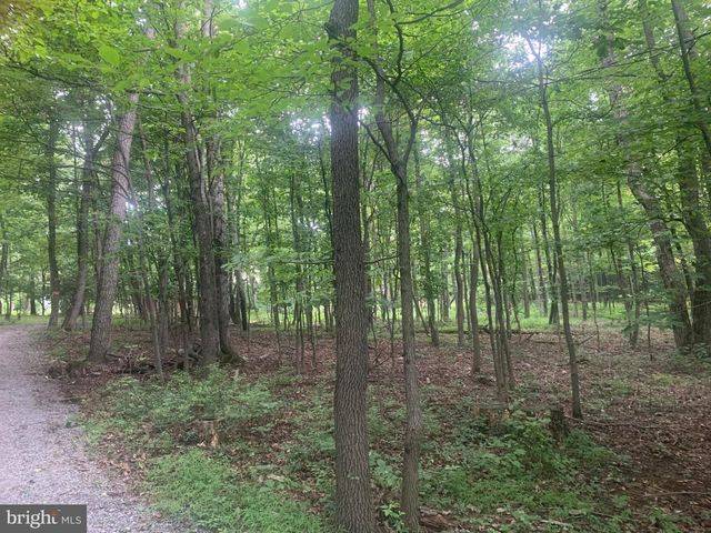 15677 DOGWOOD DR, Fort Loudon, PA 17224
