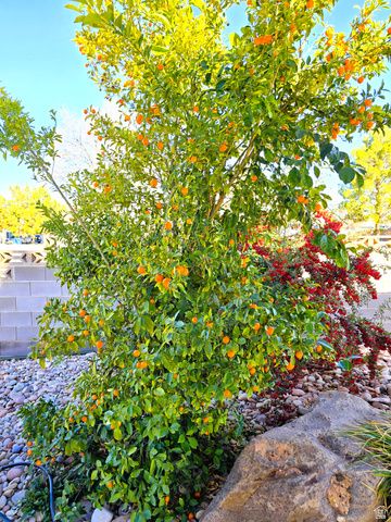 823 E MAJESTIC DR, Washington, UT 84780