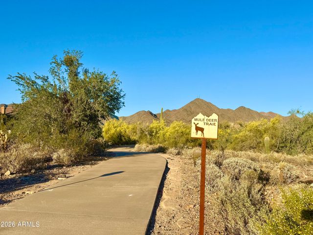 10420 E SALT BUSH Drive, Scottsdale, AZ 85255