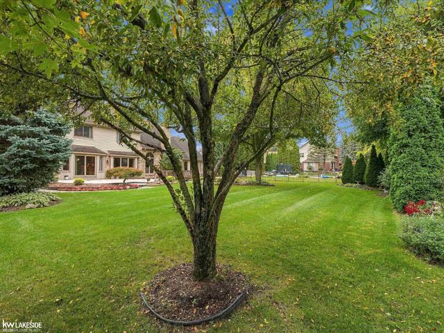8825 Grace Street, Shelby Twp, MI 48317
