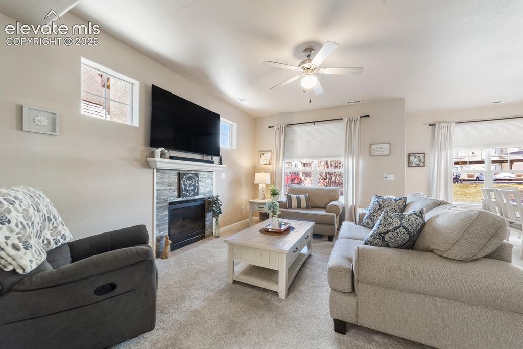 4319 Alder Springs View, Colorado Springs, CO 80922 — photo 4