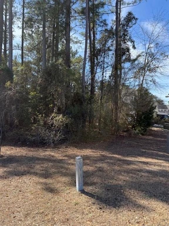 2001 Spring Valley Ct., Loris, SC 29569 — photo 3