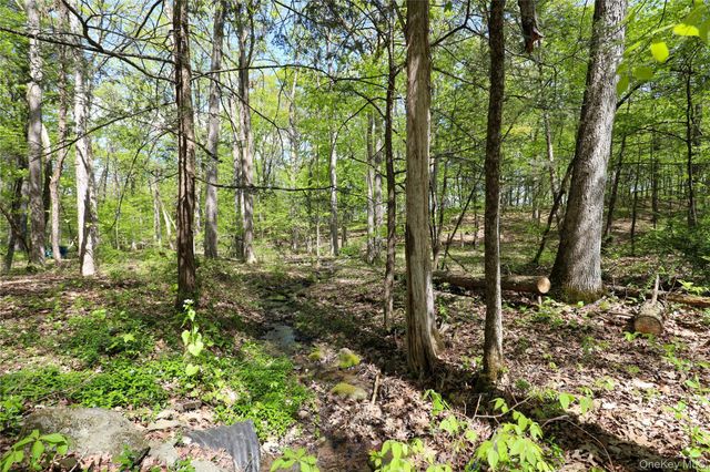 77 Ulster Landing Road, Kingston, NY 12401