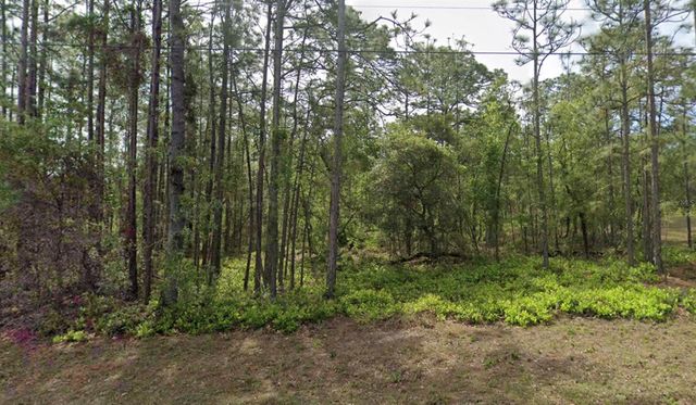 1 SANDERS COURT W, Homosassa, FL 34446