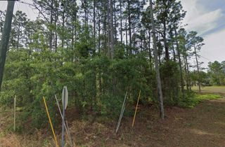 1 SANDERS COURT W, Homosassa, FL 34446