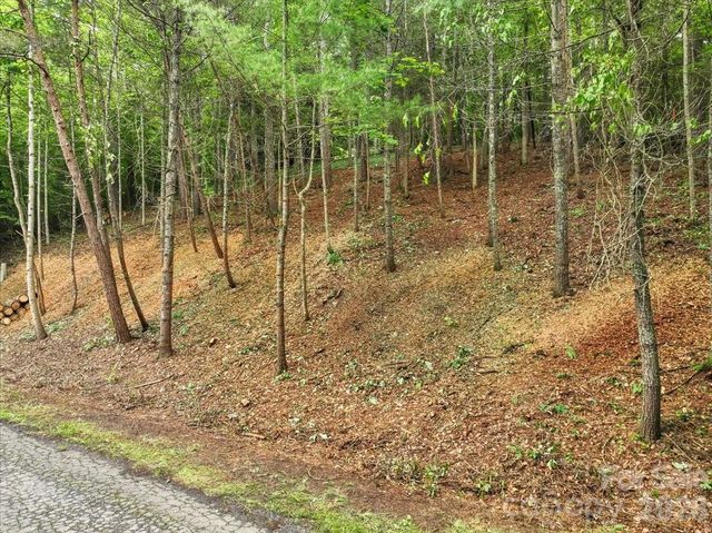 Lot 29 Hampton Lane, Weaverville, NC 28787