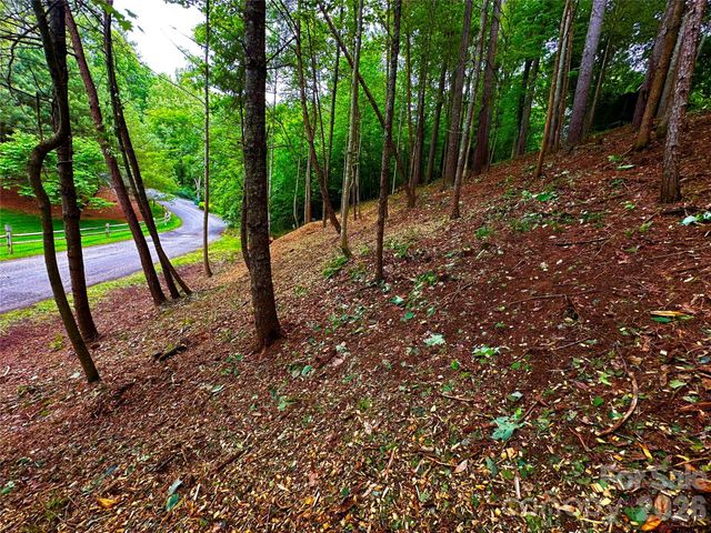 Lot 29 Hampton Lane, Weaverville, NC 28787