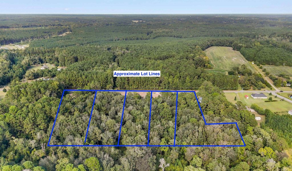 2647 Allen Dew Rd., Conway, SC 29527 — photo 5