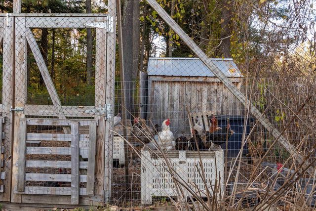 95 Middletown Road, Londonderry, VT 05155
