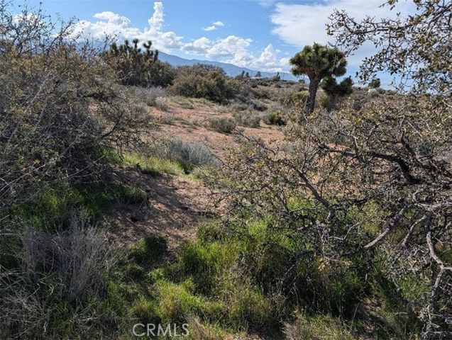 21 Atsina, Phelan, CA 92371