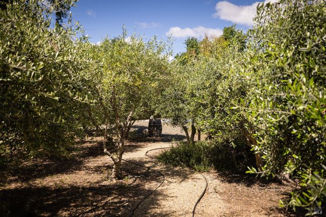 8811 Egg Farm Ln, Kenwood, CA 95452