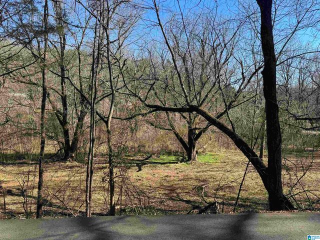 6944 OLD SPRINGVILLE ROAD, Pinson, AL 35126