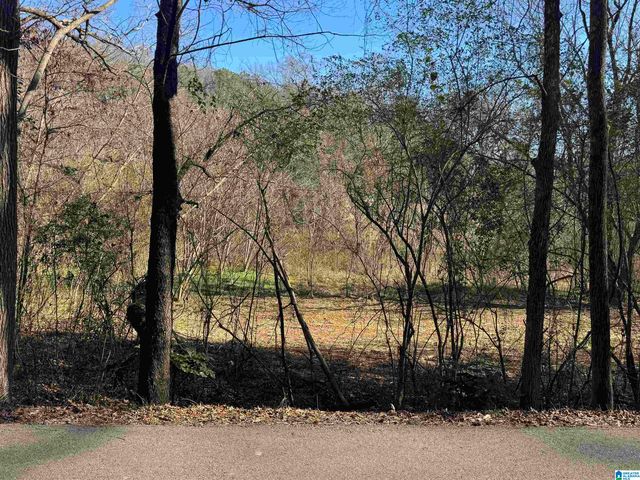 6944 OLD SPRINGVILLE ROAD, Pinson, AL 35126