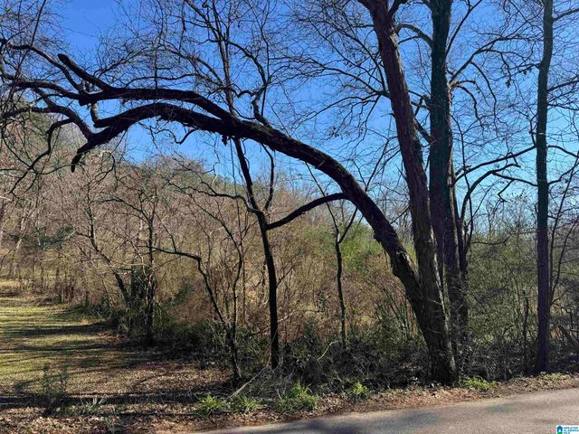 6944 OLD SPRINGVILLE ROAD, Pinson, AL 35126