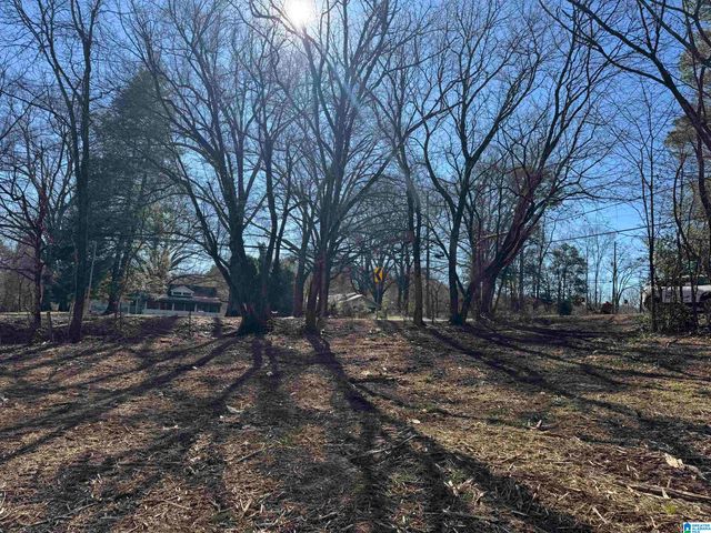 6944 OLD SPRINGVILLE ROAD, Pinson, AL 35126