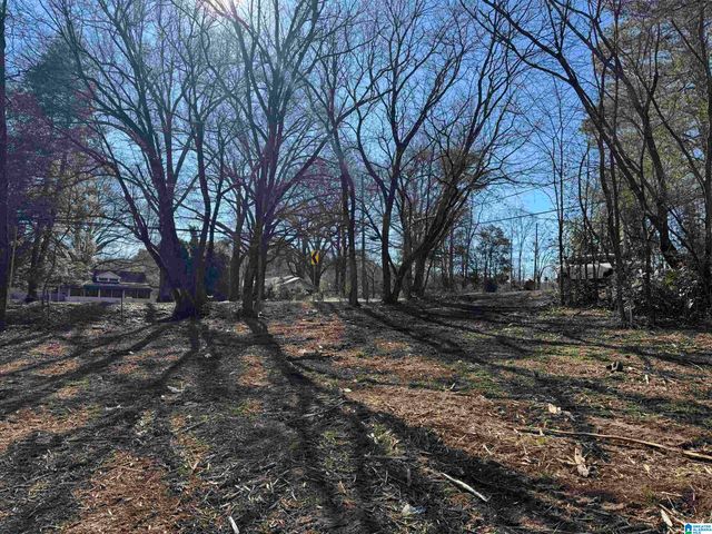 6944 OLD SPRINGVILLE ROAD, Pinson, AL 35126