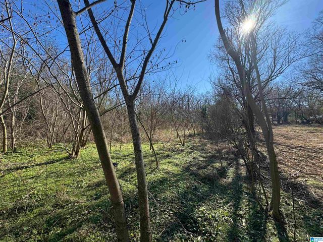 6944 OLD SPRINGVILLE ROAD, Pinson, AL 35126