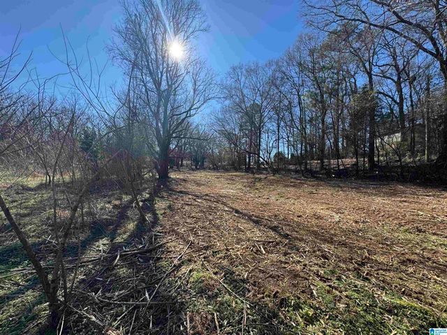 6944 OLD SPRINGVILLE ROAD, Pinson, AL 35126