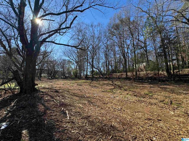 6944 OLD SPRINGVILLE ROAD, Pinson, AL 35126