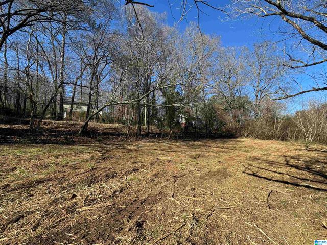 6944 OLD SPRINGVILLE ROAD, Pinson, AL 35126