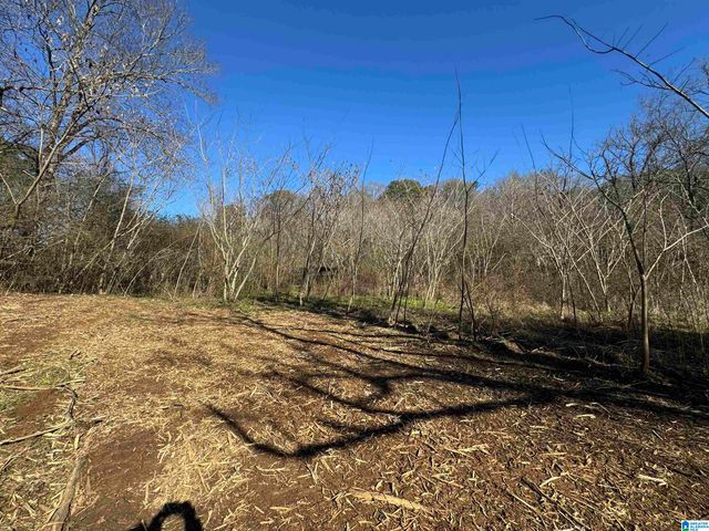 6944 OLD SPRINGVILLE ROAD, Pinson, AL 35126