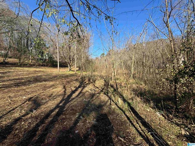 6944 OLD SPRINGVILLE ROAD, Pinson, AL 35126