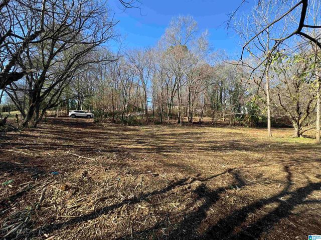 6944 OLD SPRINGVILLE ROAD, Pinson, AL 35126