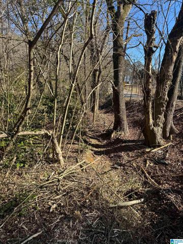 6944 OLD SPRINGVILLE ROAD, Pinson, AL 35126