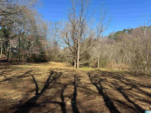 6944 OLD SPRINGVILLE ROAD, Pinson, AL 35126