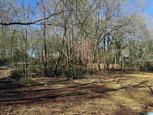 6944 OLD SPRINGVILLE ROAD, Pinson, AL 35126