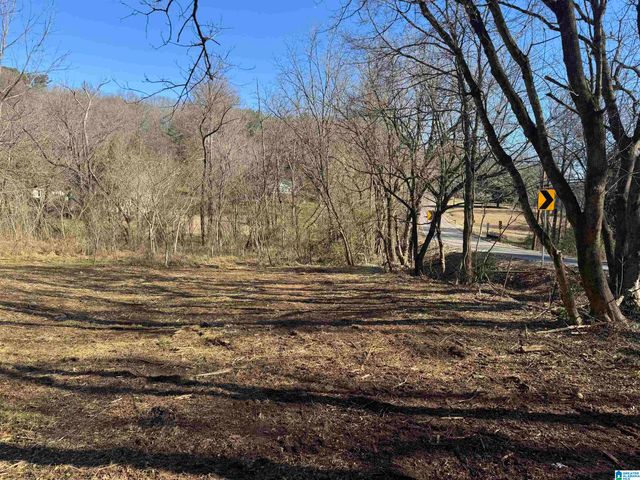 6944 OLD SPRINGVILLE ROAD, Pinson, AL 35126