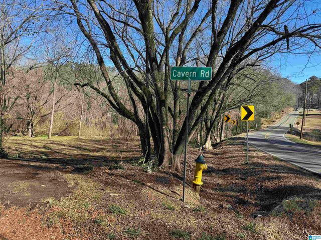 6944 OLD SPRINGVILLE ROAD, Pinson, AL 35126