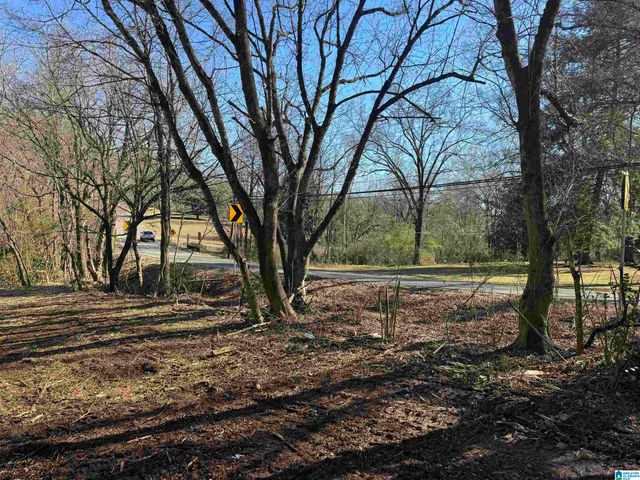 6944 OLD SPRINGVILLE ROAD, Pinson, AL 35126