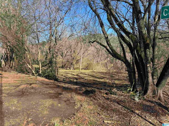 6944 OLD SPRINGVILLE ROAD, Pinson, AL 35126