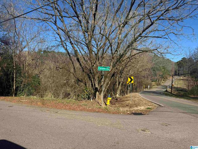 6944 OLD SPRINGVILLE ROAD, Pinson, AL 35126